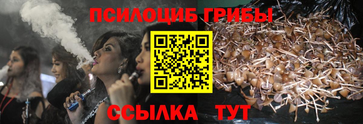 Йошкар-Ола  Псилоцибиновые грибы Psilocybine cubensis  Галлюциногенные грибы MAGIC MUSHROOMS  Вход с VPN 